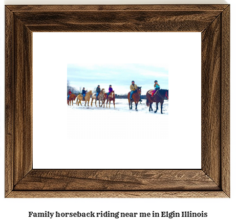 family horseback riding near me in Elgin, Illinois